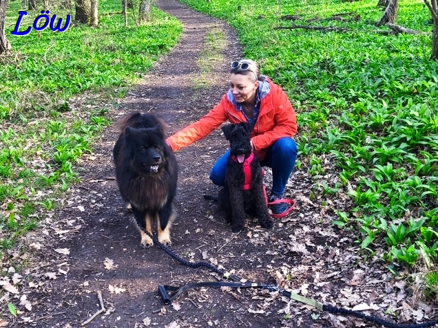 25.3.2025 - Howard mit Edina